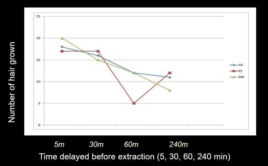 Delay in extraction of grafts causes hair growth rate decreased