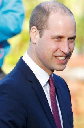 Prince William's Hair | Parsa Mohebi