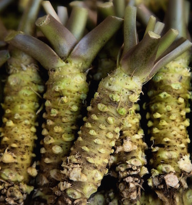 Wasabi with Hair Growth