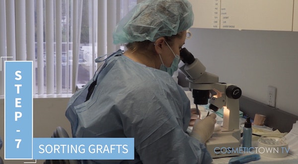 sorting fue grafts